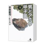 男どアホウ甲子園 【文庫版】 （全18巻