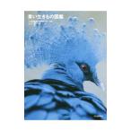  синий сырой кимоно иллюстрированная книга | маленький . блестящий .