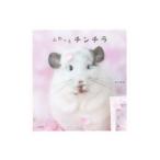 ふわっとチンチラ／鈴木理恵（1970〜）