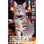 i. кошка (.)..| скала . свет .