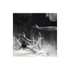 Yahoo! Yahoo!ショッピング(ヤフー ショッピング)ガゼット／UNDYING 初回生産限定盤