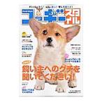  Corgi стиль Vol.37|.. выпускать 