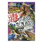 sa... опасно!.. есть сырой кимоно супер различные предметы | punk Machida 