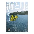  море . месяц. лабиринт сверху | Oosawa Arimasa 