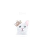 Aimer/BEST SELECTION “blanc” 初回生産限定盤B