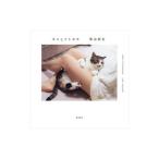  кошка .fto Momo 