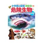 危険生物／塩見一雄