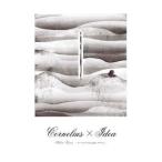 Cornelius×Idea：Mellow Waves／誠文堂新光社