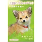  небо страна. собака было использовано ... ангел. имя |. рисовое поле ..