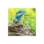  мир. прекрасный ящерица | пирог Inter National 