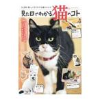  внешность . понимать кошка. koto|.. выпускать фирма 