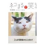  кошка ... смех |.. выпускать 