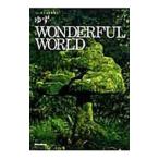 ハーモニカ＆ギター ゆず／Wonderful world／リットーミュージック