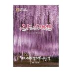 fu... . история 