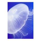  медуза аквариум BOOK