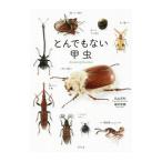 to. тоже нет . насекомое | Maruyama . выгода 