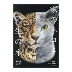 家のネコと野生のネコ／澤井聖一