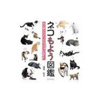  кошка . для иллюстрированная книга |. перо .