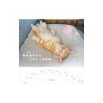 寝こ／ピーエーディー