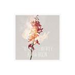 KANA−BOON／Torch of L