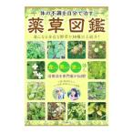 体の不調を自分で治す 薬草図鑑／マキノ出版