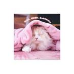  уютный и теплый, согревающий, теплый ....|Mac Marron