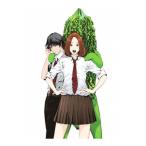  крышка . переключатель 1| flat книга@ Akira 