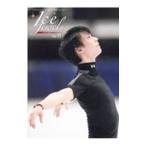  лёд драгоценности zVol.17|KAZI