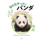 ......! Panda | приключения world 