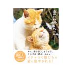  остров ....|simabossneko