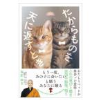 ta из было использовано . небо . вернуть время | соль рисовое поле ..