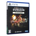PS5|ENDLESS Dungeon Last Wish Edition
