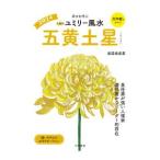  9 звезда другой yumi Lee фэн-шуй 2024-(5)| прямой .. прекрасный .