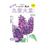  9 звезда другой yumi Lee фэн-шуй 2024-(9)| прямой .. прекрасный .