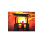  Shonan коктейль | направление после ..