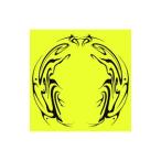 ORβIT| орхидея 