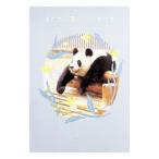  кроме того, .,.. Panda ..... вышел приключения world. . дом | приключения world 