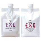 リアル EXQ イクスク シャンプー ＆ トリートメントしっとり 詰め替え用セット 1000mL+1000gリフィル アミノ酸 ヘアケア うるおい サロン専売品 real