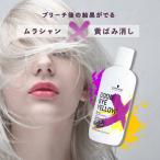 シュワルツコフ グッバイ イエロー 