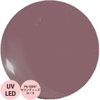 PREGEL プリジェル カラーEX セブンティーズローズ PG-CE847 カラージェル / 3g （定形外 対応）