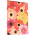  etranger *ti* Costa Rica [2 пункт суммировать ] прозрачный держатель A4 FIORE-32-06 гербера ассортимент 