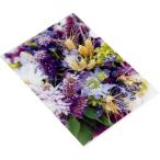  etranger *ti* Costa Rica [2 пункт суммировать ] прозрачный держатель A4 FIORE-32-72 организовать PU