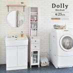 隙間収納 25cm 奥行40 引き出し 洗面所 キッチン DOLLY ドリー 隙間ラック 隙間家具 すきま収納 棚 キッチン収納 サニタリー収納 スリムストッカー DO170-25SS