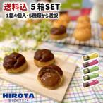 シュークリーム 5箱セット 1箱4個入 詰め合わせ 送料込 お中元 御中元 スイーツ  ヒロタ HIROTA ギフト 贈り物 おやつ お取り寄せ