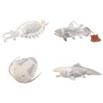  Ocean чайный пакетик tebon.4 вида комплект anomaroka белка &amp; Dunk re мужской te незначительный &amp; Mitsuha насекомое &amp;si-la can s(4 вида комплект ) почтовая доставка бесплатная доставка 