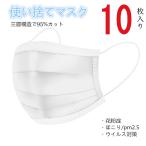 国内発送 当日発送 マスク 10枚入 ホワイト 不織布 三層構造 花粉 感染予防 フェイス かぜ 花粉 ウィルス飛沫 PM2.5 使い捨て 30枚入りあり