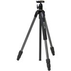 SLIK карбоновый штатив свет карбоновый E53 3 уровень гайка блокировка тип 19mm диаметр трубы свободный платформа Quick колодка тип 106969