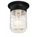ショッピングfk07 【並行輸入品】 Design House Jelly Jar Ceiling Light, Indoor/Outdoor, Flush Moun