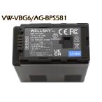 VW-VBG6-K VW-VBG6 AG-BPS581 互換バッテリ�