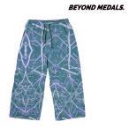  Япония стандартный товар одежда для сноуборда брюки biyondo медаль zBEYOND MEDALS PARK PANTS RIPSTOP Print мужской женский 25-26